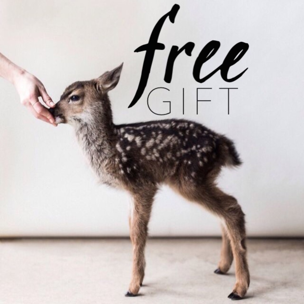 FREE GIFT  🎁 WITH $25+ PURCHASE!