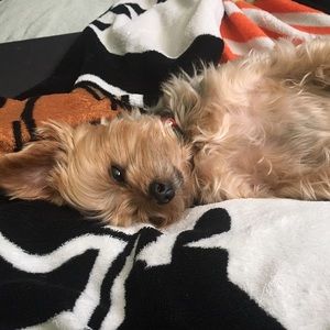 Meet your Posher, Alyssa