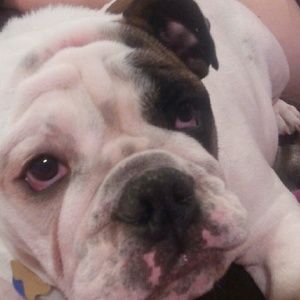 Meet your Posher, Kealy