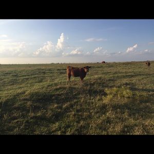 Meet your Posher, Shena