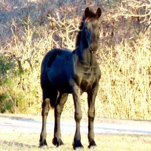 Meet your Posher, Jill