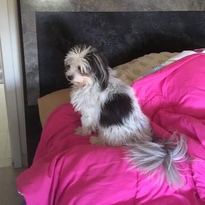 Meet your Posher, Anna