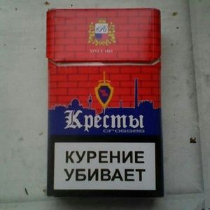 Meet your Posher, Teddy