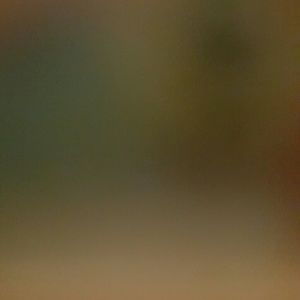 Meet your Posher, Kenia