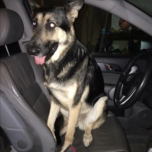 Meet your Posher, Kirsten