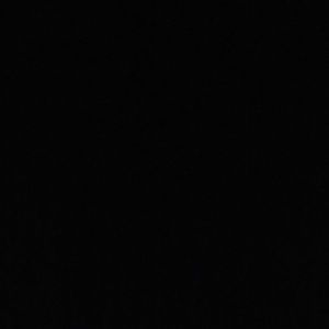 Meet your Posher, Cayden