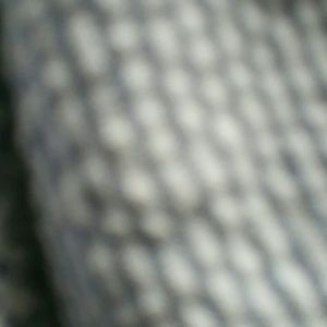 Meet your Posher, Lawrence