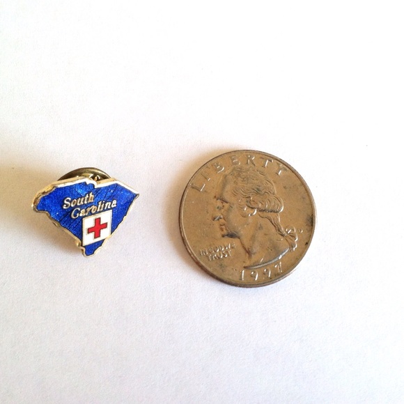 South Carolina Healthcare Pin