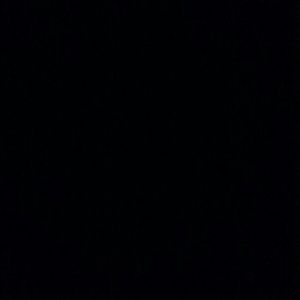 Meet your Posher, Haiden