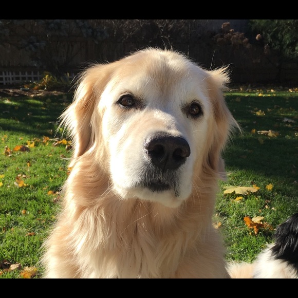 Meet your Posher, M.a.