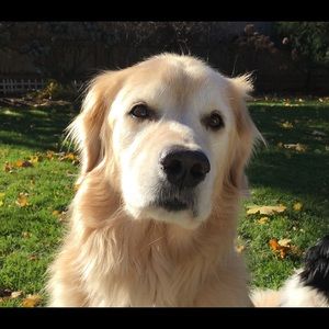 Meet your Posher, M.a.