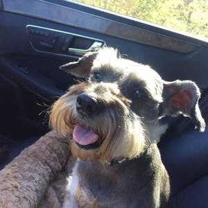 Meet your Posher, Susanne