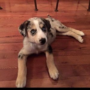 Meet your Posher, Jay