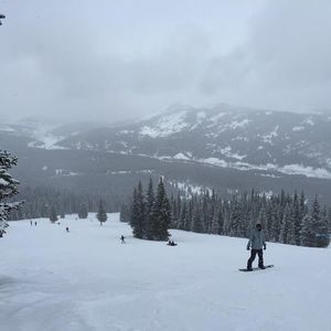 Meet your Posher, Colin