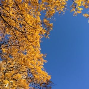 Meet your Posher, Lindsay