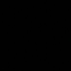 Meet your Posher, Gabi