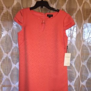 Tahari Short dress with gold embellishment