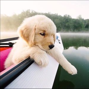 Meet your Posher, Kelsey