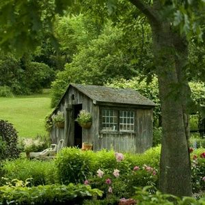 Meet your Posher, Teresa