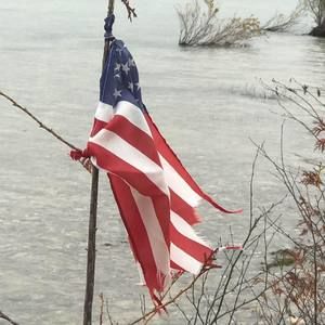 Meet your Posher, Toni