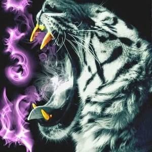 Meet your Posher, Becki