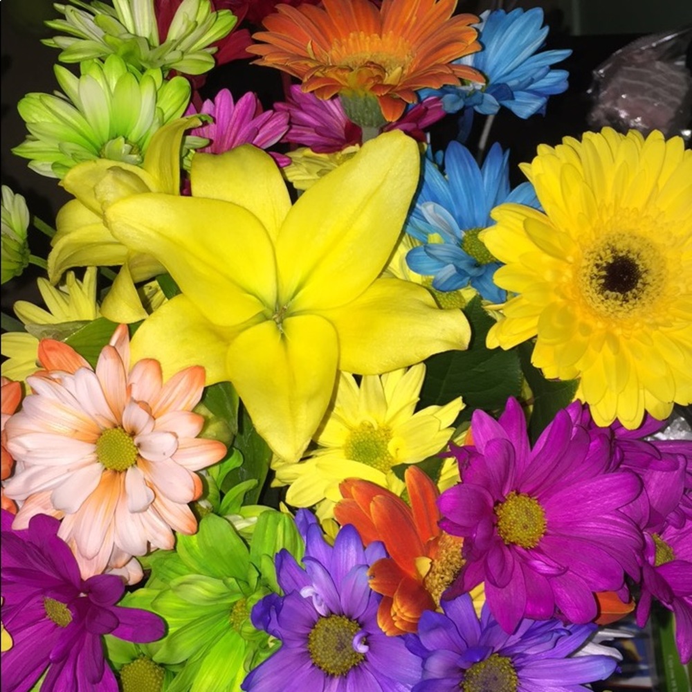 Meet your Posher, Dulce