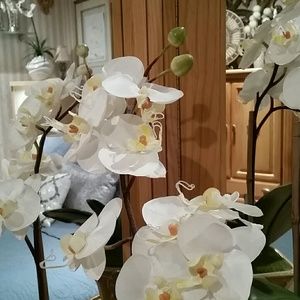 Meet your Posher, Yvonne