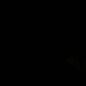 Meet your Posher, Danarius