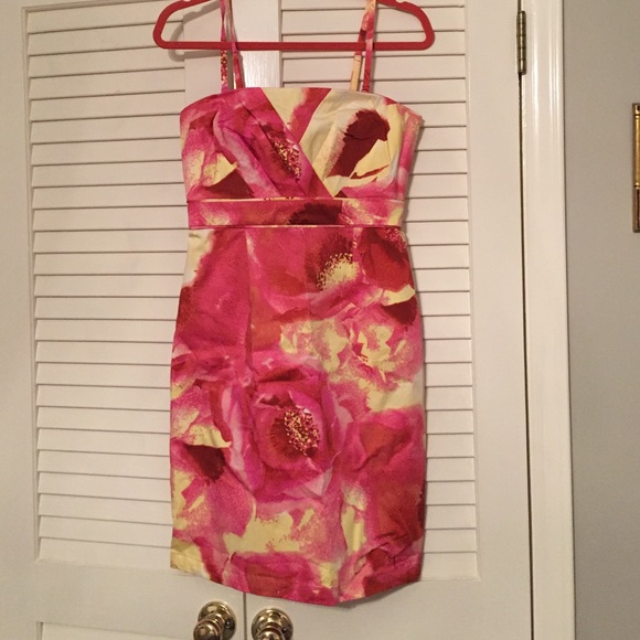 Pink Skinny or Strapless Dress NWT