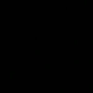 Meet your Posher, Max