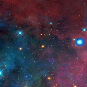 Meet your Posher, Bridget