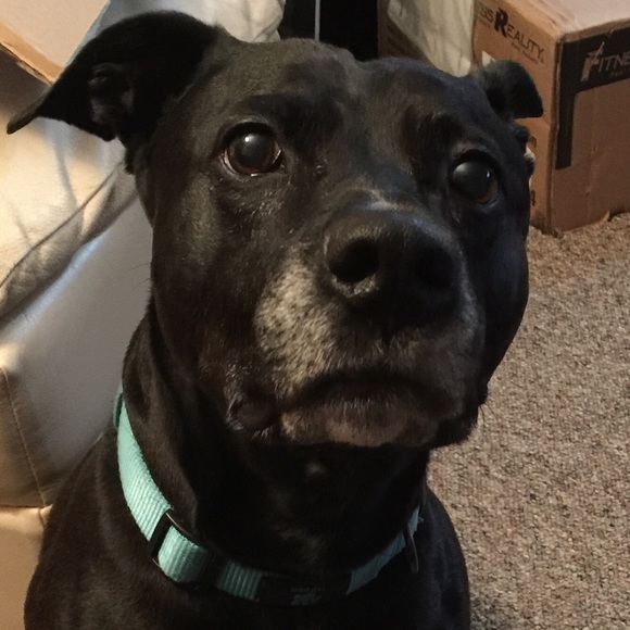 Meet your Posher, Daniel - Picture 1 of 1