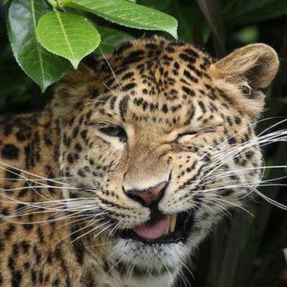 Meet your Posher, Brent