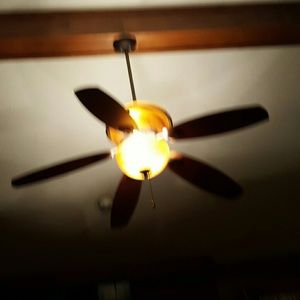 Meet your Posher, Jerry