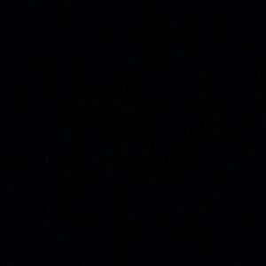 Meet your Posher, Bryan