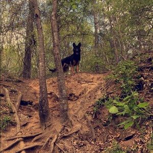 Meet your Posher, Harrison