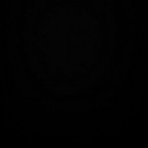 Meet your Posher, Henry