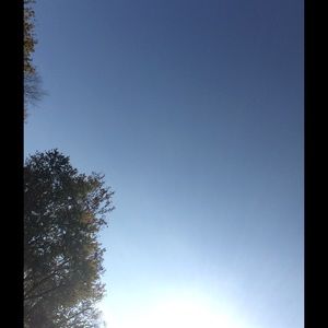 Meet your Posher, Taylore