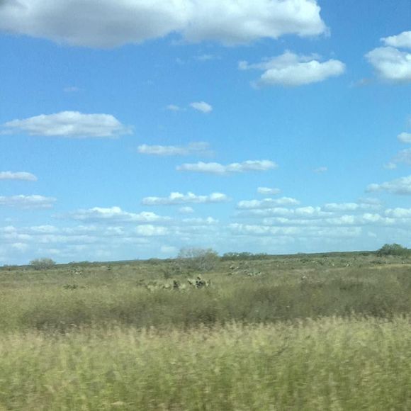 Meet your Posher, Joe - Picture 1 of 1