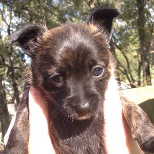 Meet your Posher, Chloe