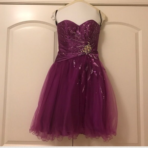 Tony Bowls Purple Prom/Homecoming Dress - Picture 3 of 3