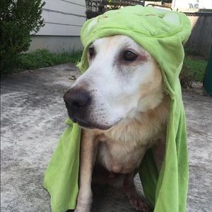 Meet your Posher, Kaylee