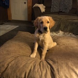 Meet your Posher, Kristin