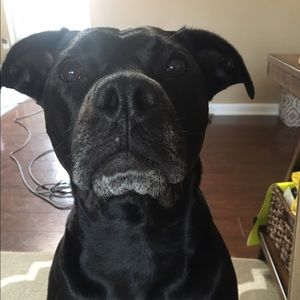 Meet your Posher, Natalie