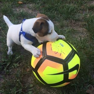 Meet your Posher, Taylor