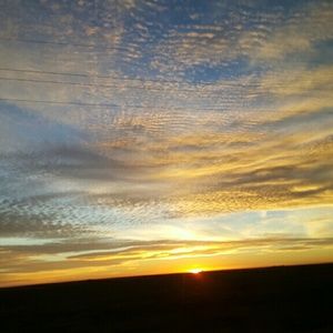 Meet your Posher, Roxanne