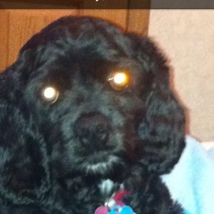 Meet your Posher, Jana