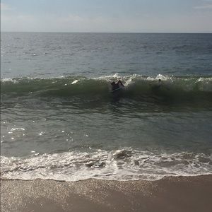 Meet your Posher, Wyatt