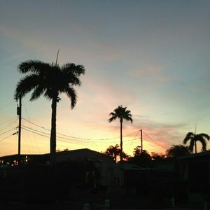 Meet your Posher, Liam