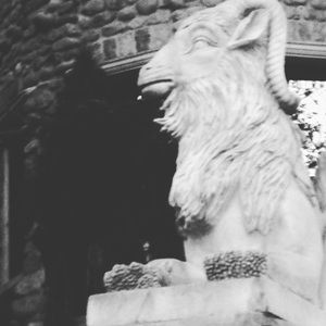 Meet your Posher, Margaret